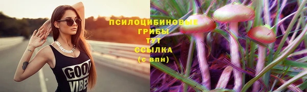 тгк Белокуриха