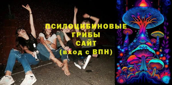 тгк Белокуриха