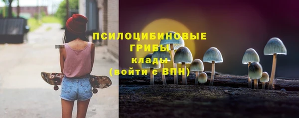 тгк Белокуриха