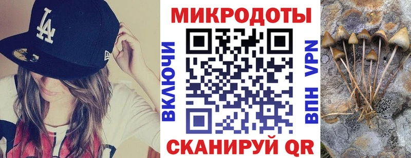 Псилоцибиновые грибы Psilocybine cubensis  Первомайск 